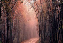 2024年意甲各队支付经纪人佣金：尤文近3400万欧最高，国米第二.