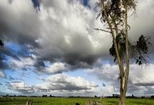 德尚：吉鲁总将法国队置于一切之上 瓦拉内：首秀面对他印象深刻.