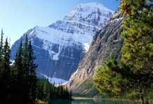 [欧冠]菲利克斯独中两元 马德里竞技主场险胜.