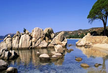 [CBA]常规赛12月20日：辽宁VS北京.